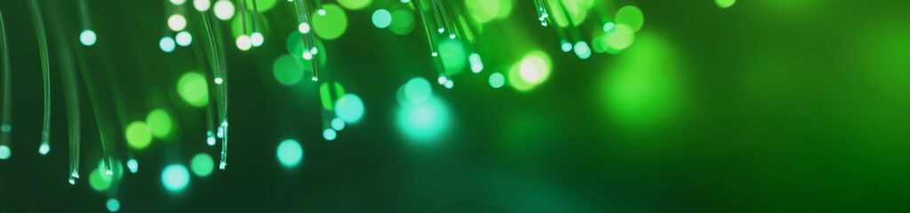 Fibre Networks as Green Assets